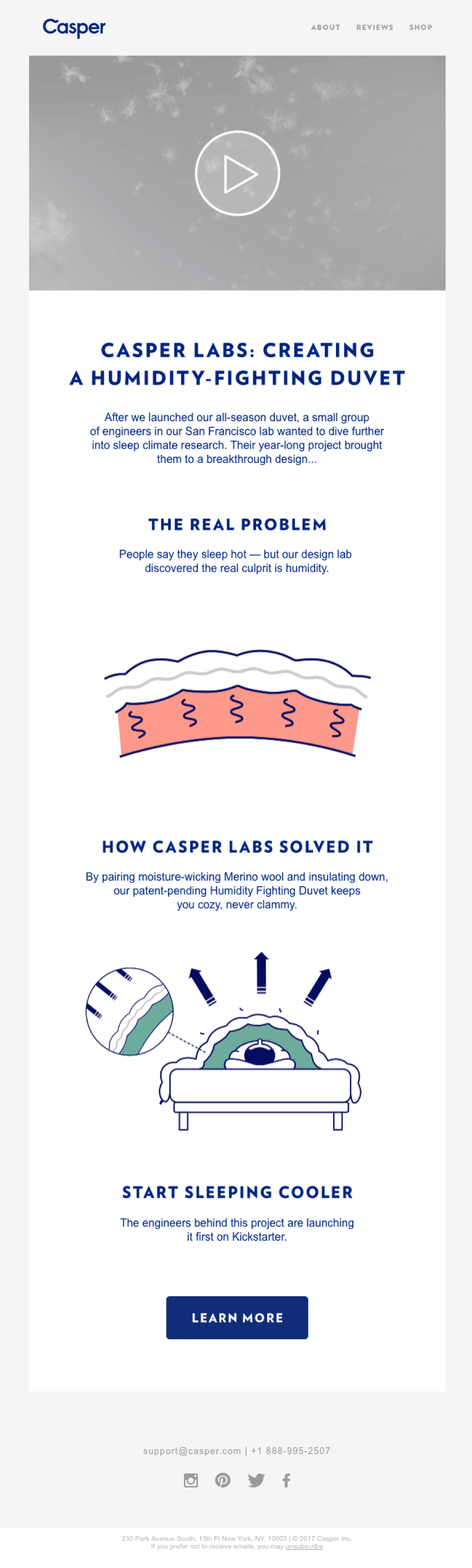 newsletter examples